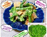 うちの春サラダ☆菜花のマスタードサラダ♬作り方56写真