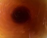 簡単　海鮮中華うどん作り方8写真