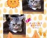 ♢♧かんたん赤しそジュース♧♢リンゴ酢入作り方22写真