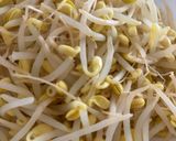 【楽チン】レンチン4分☆豆もやしのゆで方作り方4写真