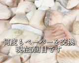 コク旨！トロトロ！ 銀鱈の西京漬作り方7写真
