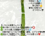 うちの☆旬のアスパラ❤️パンチェッタの旨み作り方12写真