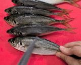 アジの3枚おろしでぎり寿司作り方1写真