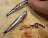 キビナゴの菊花盛り　手開きで美しく盛り付ける刺身作り方2写真