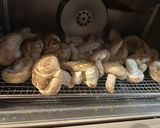 自宅で簡単放置フードドライヤーで干し椎茸作り方2写真