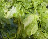レタス、きゅうり、豚肉の中華風炒め作り方1写真