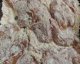 冷めても美味しい鶏むね肉のハーブピカタ作り方2写真