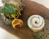 旬の細魚作り方4写真