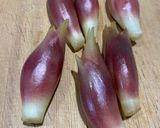 みようがの甘酢漬け作り方2写真