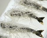 ザクザクプリプリ🍤プリティー海老フライ❤️作り方5写真