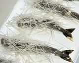 ザクザクプリプリ🍤プリティー海老フライ❤️作り方5写真