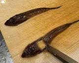 ハサミだけで簡単 松葉おろし　メゴチの天ぷら作り方1写真