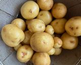 皮付き小さめ新じゃがいもオーブン焼き🥔作り方1写真