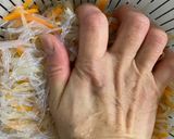 冷蔵庫にストック！ヘルシー春雨サラダ作り方3写真