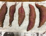 保存版✅掘りたて泥付きさつまいもの保存｜食べ頃作り方5写真