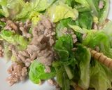 簡単　ひき肉と白菜のトロ旨煮作り方16写真