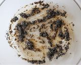 レンジで完成♪春菊のごまナムル作り方1写真