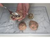 蓮根とキャベツのメンチカツ★動画あり★作り方18写真