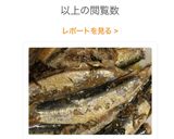 圧力鍋で自家製オイルサーディン作り方9写真