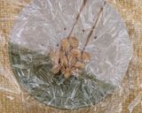 節分大豆　粉状にして消費　食べ方いろいろ作り方3写真