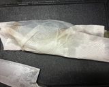 基本のアジの捌き方(三枚おろし)作り方8写真