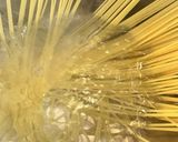 旨みが詰まった大人のパスタ本格ボロネーゼ作り方9写真