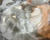 栗の渋皮煮のシフォンケーキ作り方2写真