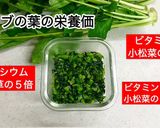 ★すぐ食べられる！カブ(大根)の浅漬け作り方12写真