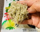 超時短お吸い物😻‼️作り方1写真
