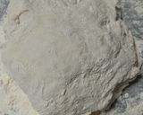 簡単　香ばしい米ぬかパン　こねないパン作り方8写真