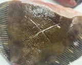 黄金比でカレイの煮付け作り方1写真