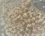 長ネギと楽しむ！中華風肉味噌レタス包み😋作り方7写真