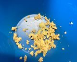 外国産OK！簡単味染みプリとろ鶏もも丼作り方5写真