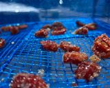 プチトマトの甘納豆(天日干し)作り方7写真