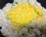 シンプルなパラパラねぎ炒飯作り方6写真