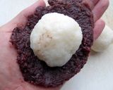 白米・ご飯で作る簡単三色おはぎ作り方3写真