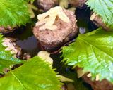 大葉チーズのしいたけの肉詰め風作り方6写真