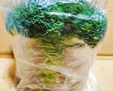 【改】♻️保存法|ブロッコリー🥦ロス削減術作り方5写真