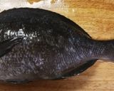 メジナ グレ の 刺身作り方1写真