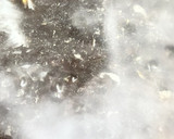 これぞ黄金比👨‍🍳吉野家の牛丼を完全再現🚀🤗作り方2写真