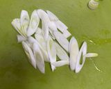 凍ったつゆで冷えランチ♪お弁当そうめん作り方1写真