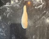 おとうさんの塩パン作り方15写真
