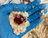 はんぺんでカリふわなキラキラタコ揚げ🐙作り方3写真