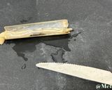 ホラケ・マルーク　マテ貝の煮込み作り方1写真