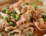 ☆豚肉と白菜のごま味噌豆乳うどん☆作り方11写真