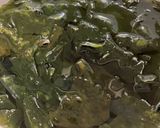 きゅうり🥒カニカマ🦀ワカメわかめの酢の物作り方2写真
