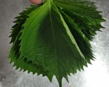 わりと簡単、梅しそチーズ巻きトンカツ作り方1写真