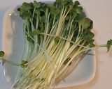 かいわれ大根のおひたし作り方1写真