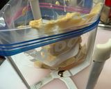 真鱈の西京漬　漬タレのレシピ作り方10写真