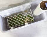 95℃ 無限甘辛ピーマン:お子様に!作り方22写真